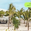 selloffvacations-prod/HOTEL CHAINS & LOGOS/Riu Hotels & Resorts/New Resort Pages/Riu Republica/Ecomm/OUTPUT/SOV_RiuRepublica_Ecomm_Carousel_1920x1080_EN_e